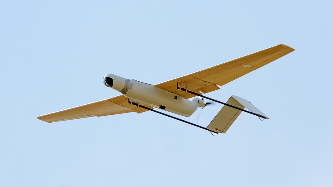 ����������&nbsp; ��������������: ������ ���� ���������� ����� �� ����� ���
