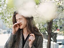 Эксперт рассказал, как облегчить симптомы аллергии в период цветения