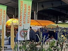 "Татарча диктант" и регконференция "Единой России": новое в "Инстаграме" глав районов Татарстана 26 сентября