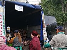 Метшин на картошке и Елабуга как лучший город: новые посты глав районов Татарстана в "Инстаграме" 11 сентября