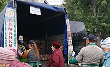 Метшин на картошке и Елабуга как лучший город: новые посты глав районов Татарстана в "Инстаграме" 11 сентября