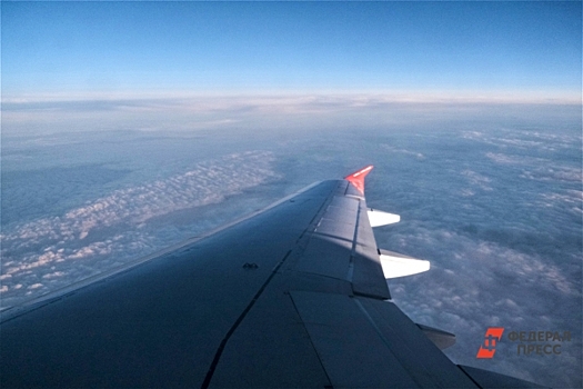 В Екатеринбурге приземлился рейс из Хабаровска с дебоширом на борту