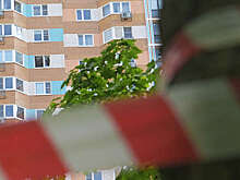 Baza: Найден БПЛА со взрывным устройством в Брянской области