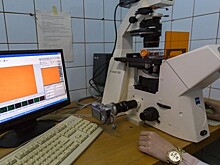 Российские ученые разработали новую вакцину от туберкулеза