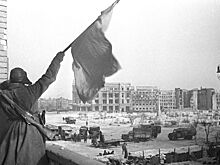 Кто воевал вместе с немцами против Красной Армии в Сталинградской битве