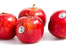 Известная новозеландская компания прекратила поставки яблок в Россию