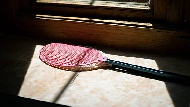 Житель Тобольска мухобойкой избил возлюбленную и соседа в порыве ревности