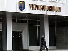 Директора авиазавода уволили за фото в форме пилота ВКС