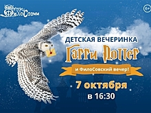 В Зеленоградске проведут тематическую вечеринку в стиле Гарри Поттера с настоящими совами