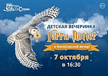 В Зеленоградске проведут тематическую вечеринку в стиле Гарри Поттера с настоящими совами