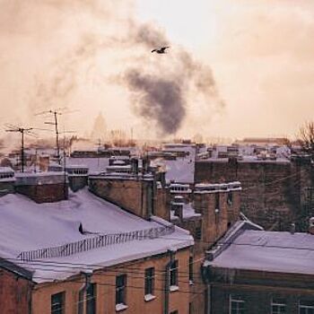 Петербургский чиновник сдержал обещание и ездит на велосипеде даже зимой