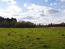 В администрации Янтарного прокомментировали информацию о взятке 30 млн должностным лицам