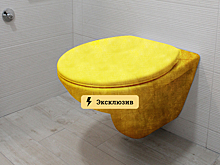 Богатые россияне стали реже покупать золотые унитазы