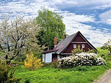 Стоимость аренды загородных домов в столичном регионе снизилась на 10-15% за год