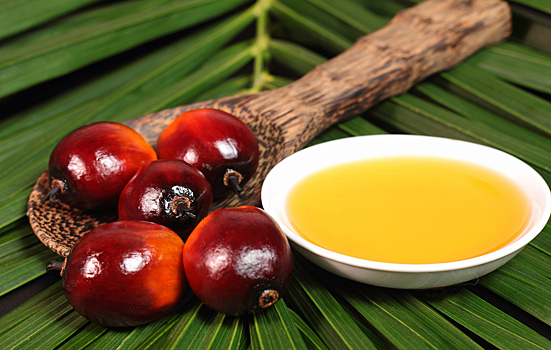 Малайзия увеличила экспорт пальмового масла
