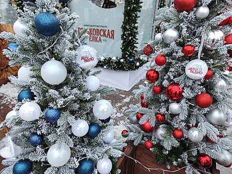 Дед Мороз и «Авторадио» поздравили нижегородцев с Новым годом