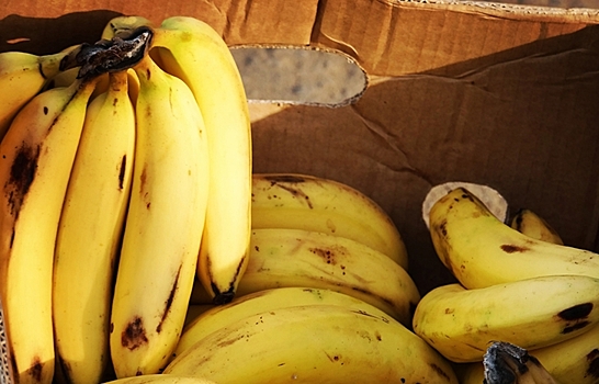 Британцы выбрасывают 1,4 млн бананов в день