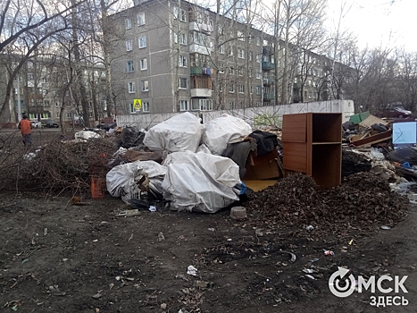 Омичи возвели памятник "мусорной" реформе