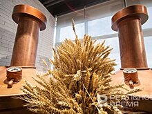 Татарстан уступил Ульяновской области в производстве пива и пивных напитков