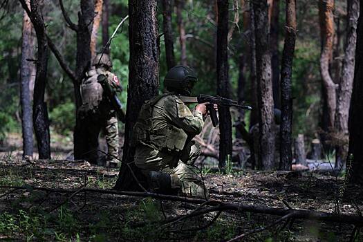 В ДНР сообщили об уничтожении украинских сил в районе Новомайорского