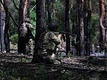 В ДНР сообщили об уничтожении украинских сил в районе Новомайорского