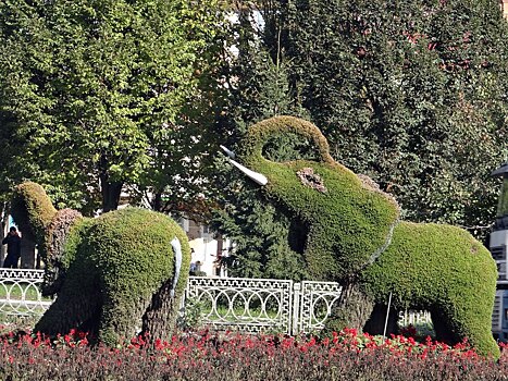 Потомский поручил городу решить проблему «Зеленстроя»