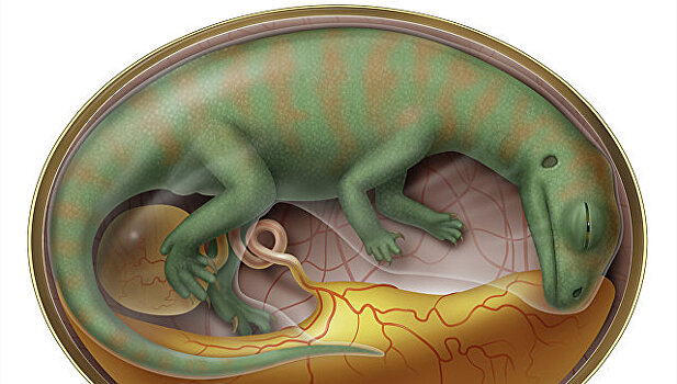 Палеонтологи раскрыли тайну динозавров