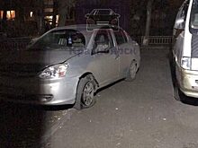 На Кольцевой красноярцы и полицейские спасли замерзающего в машине щенка