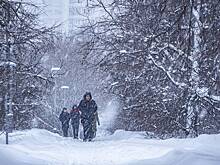Москвичей предупредили о метели
