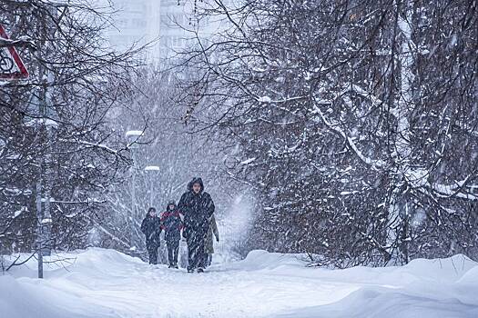 В российском регионе школьников перевели на дистант из-за 49-градусных морозов