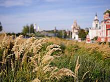 Благоустроенная природная территория понравилась местным жителям