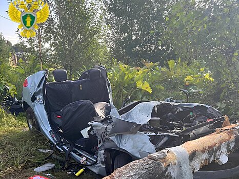 Авария в ТиНАО унесла три жизни