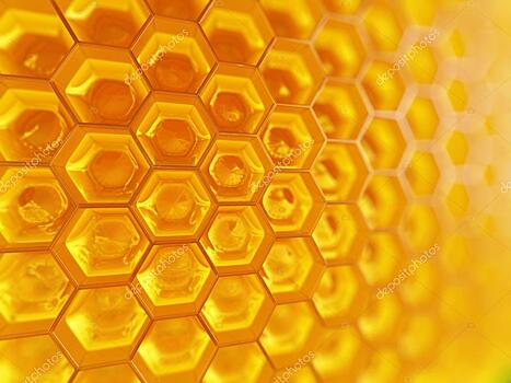 Учёные применили мёд для разработки компьютеров