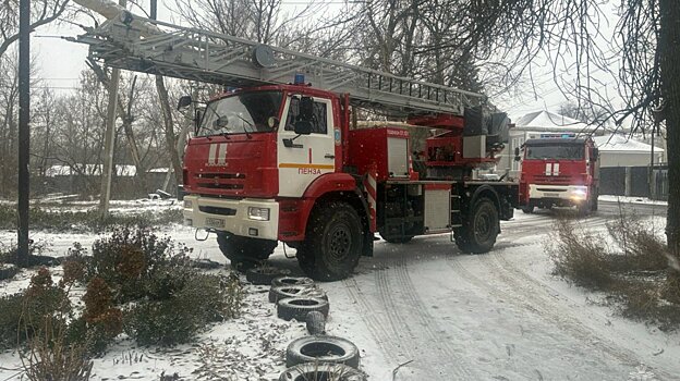 При пожаре на улице Заводской в Пензе спасли трех человек