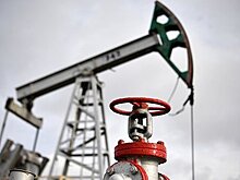 В России оценили объемы добычи нефти по итогам года