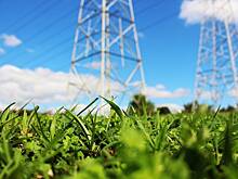 Аналитик объяснил планы Украины рекордно увеличить импорт электроэнергии из Европы