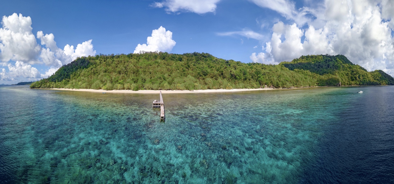 На Сулавеси нашли древнейшую сюжетную сцену возрастом свыше 51 тыс. лет