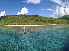 В Индонезии обнаружили древнейшее сюжетное изображение человечества