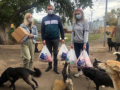 Оренбургские почтовики помогли оренбургскому приюту для животных "Я - Живой!"