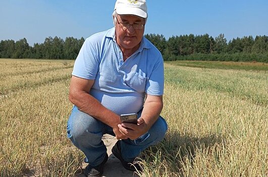 Автор сорта лука Дедуля встретил специалистов Россельхозцентра для апробации посевов севка