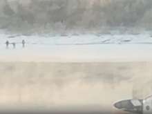Семь тюменцев попали в больницу с обморожением: один провалился в реку, другой пролежал во дворе
