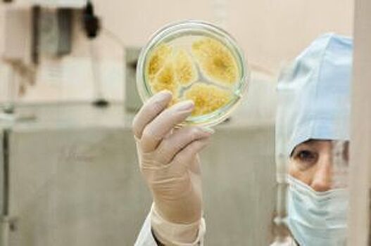 Как не заболеть энтеровирусными инфекциями?