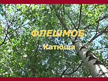 В ТЦСО "Жулебино" провели флешмоб "Катюша"