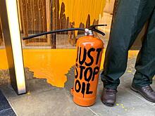 Климат-активистов Just Stop Oil признали виновными в повреждении картины Ван Гога: Новости ➕1, 23.11.2022