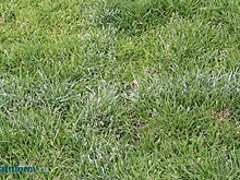 В Пензе тестируют комплекс для фиксации нарушений благоустройства