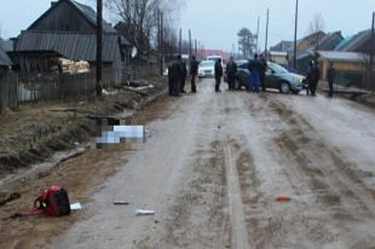 В Пермском крае под колёсами автомобиля погиб ребёнок