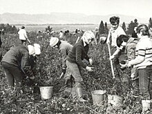 Как зарабатывали советские подростки