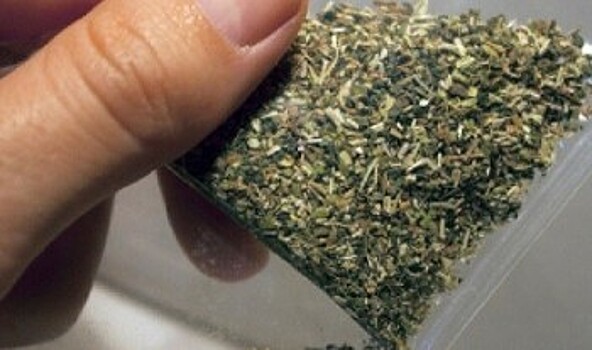 Двух наркоманов-меломанов со «спайсом» поймали ночью в Череповце