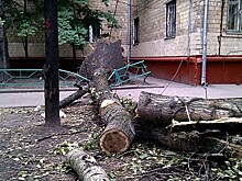 Последствия ураганного ветра в Удмуртии, изменение подхода к учету бедности в России и признание сценаристов «Игры престолов»: что произошло минувшей ночью