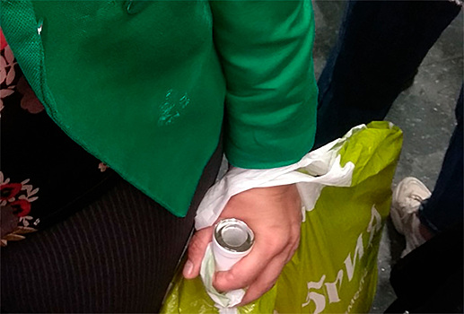 В московском автобусе обратили внимание на «зеленую попутчицу»